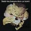 Black Cat Bones