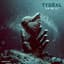 Tydeal