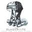 The BlackWhite