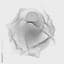 Focality