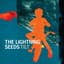 The Lightning Seeds