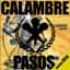 Calame