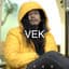 Vek
