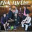 Pink Turtle