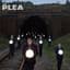 The Plea