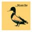Great Northern Diver