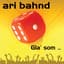 Ari Bahnd