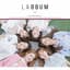 LABOUM