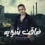 علاء الشرقاوي
