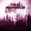 Luz De Medianoche