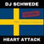 DJ Schwede
