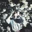 Momus