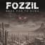 The Fozzil Experience