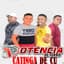 Potência Do Forró