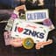 Zoonicks