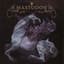 Mastodon