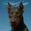Murdog 049