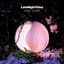 Planningtorock