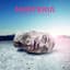 Marteria