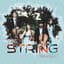 The String Family