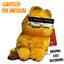 Teddy Grey