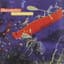 Rheostatics