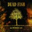 Dead Fish