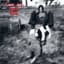 Sebadoh