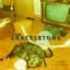 The Shackeltons