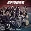 Spiders