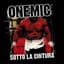 OneMic