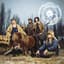 Steve ´n´ Seagulls