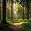 BluForest