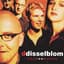 Ddisselblom