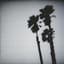The Twilight Singers