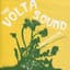 The Volta Sound