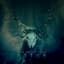 Dark Fantasy Studio