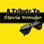 Stevie Wonder