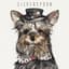 Wolf and Love