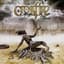 Crossfire