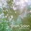 Palm Salon