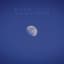 Moon Lit