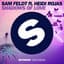 Sam Feldt