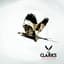 The Clarks