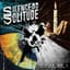 Silence in Solitude