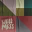 Wellmess