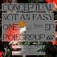 CONCEPTUAL (IT)
