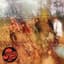 Spooky Tooth
