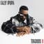 Fally Ipupa