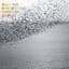 Four Tet